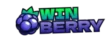 Winberry Casino logo